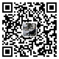 乐玩网页版